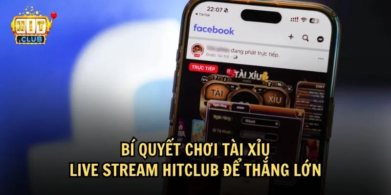 Tham khảo một số mẹo thắng lớn khi chơi Tài Xỉu Live stream HitClub