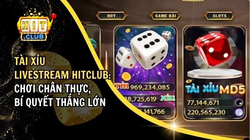 Tài Xỉu Live Stream HitClub: Chơi Chân Thực, Mẹo Thắng Lớn