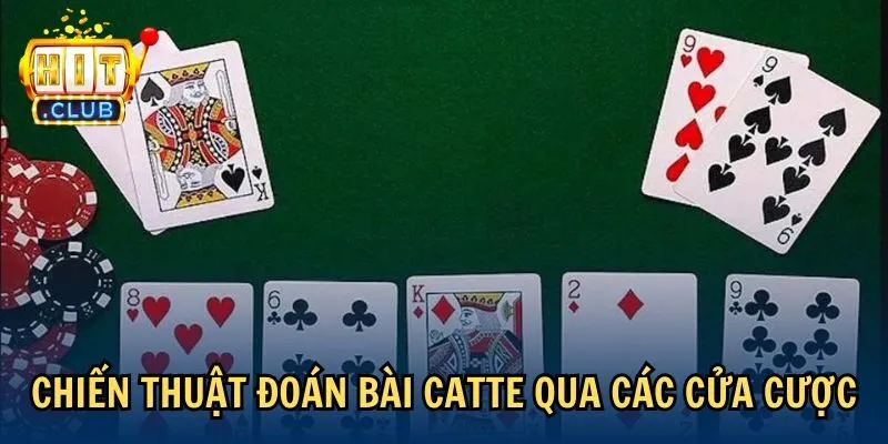 Chiến thuật đoán bài Catte qua các cửa cược