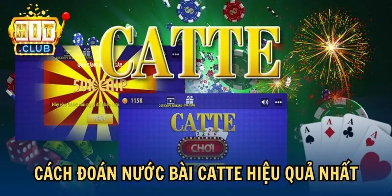 Cách đoán nước bài catte hiệu quả nhất