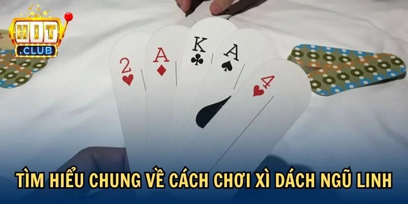 Tìm hiểu chung về cách chơi Xì Dách Ngũ Linh