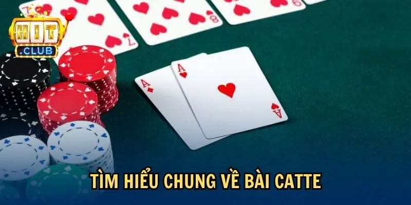 Tìm hiểu chung về bài Catte